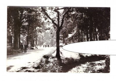 CP Baile Moneasa - Vedere din parc, RSR, circulata 1967, animata, stare buna foto