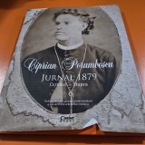 Ciprian Porumbescu, Jurnal 1879, Cernauti-Stupca