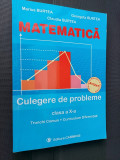 MATEMATICA CULEGERE DE PROBLEME CLASA A X A - BURTEA