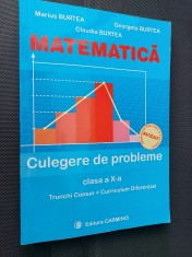 MATEMATICA CULEGERE DE PROBLEME CLASA A X A - BURTEA