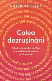 Calea dezrusinarii - Bookzone