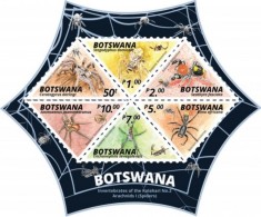 BOTSWANA 2020 INSECTE PAIANJENI foto
