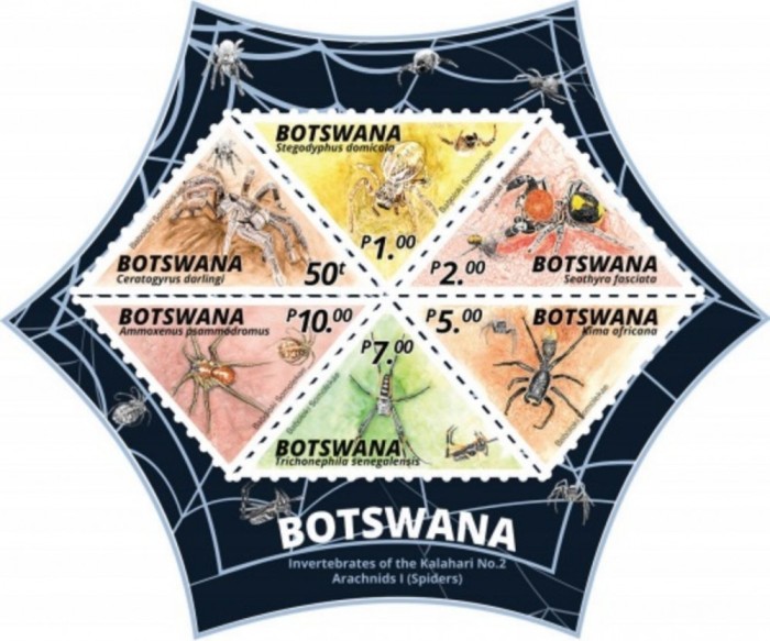 BOTSWANA 2020 INSECTE PAIANJENI