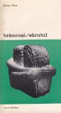 Sidney Geist - Brancusi/Sarutul, Carte Arta, 157 Pagini, 1982