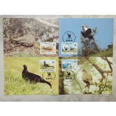 Azerbaidjan 1994 - Cocosul de munte negru caucazian, serie CarteMaxima