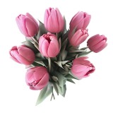 Sticker decorativ Buchet Lalele Roz 60x60 cm, PVC, autocolant, detasabil. Decor perete, usa, spatiu comercial