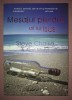 Mesajul Pierdut al Lui Isus - Steve Chalke, Scriptum, 2007, Crestinism, Carte Religioasa