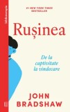 Rusinea. De la captivitate la vindecare/John Bradshaw
