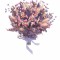 Buchet de Flori Eventissimi - Plante Uscate, Multicolor, predominant Mov
