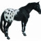 Figurina Armasar Black Appaloosa XL Collecta