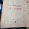 Ion A. Bucur - La maluri de linisti