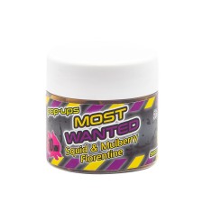 Secret Baits Most Wanted Pop-up - 15 mm