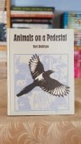 Cumpara ieftin Animals on a Pedestal - Yuri Dmitriyev carte 1990