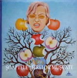Soaptele Merelor Muscate - Doru Maximovici - Poezie Romantica, Editura Timpul, 2011, Coperta Cartonata