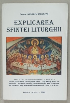 EXPLICAREA SFINTEI LITURGHII de Protos . NICODIM MANDITA , 2002, foto