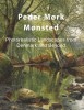 Peder M