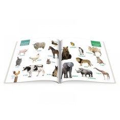 Carti educative cu CD invat limba franceza