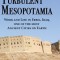 Surgery in Turbulent Mesopotamia