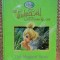 TINKER BELL AND THE GREAT FAIRY RESCUE THE MAGICAL STORY