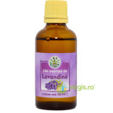 Ulei Esential De Lavandina (Lavanda) 50ml