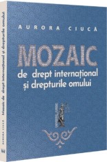 Mozaic de drept international si drepturile omului - Aurora Ciuca - Editura Universul Juridic
