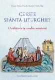 Ce este Sfanta Liturghie? O calatorie in corabia mantuirii - Tatiana Petrache, Ovidiu Gliga