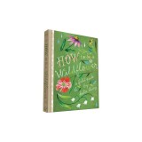 How to Be a Wildflower: A Field Guide