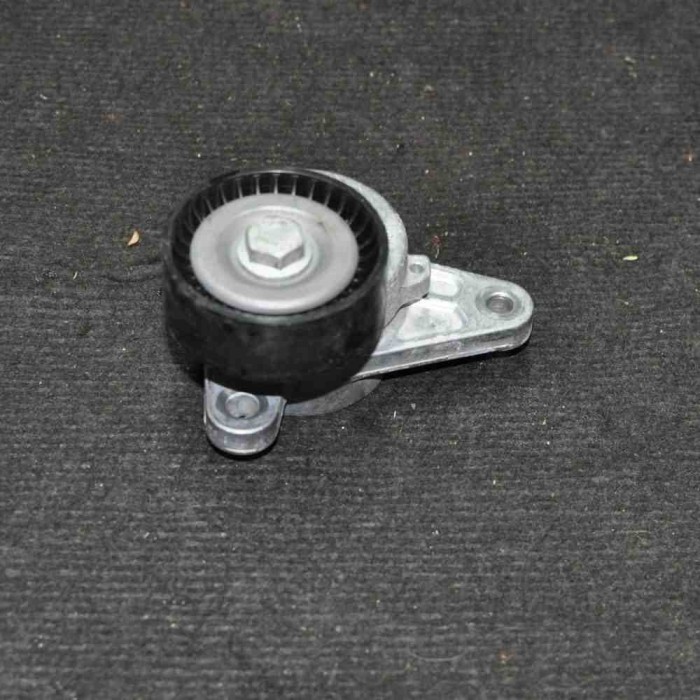 &Icirc;ntinzător de curea VW JETTA MK6 162, 163 2011 OEM: 04L903315A 1872714