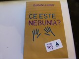 Ce este nebunia ? - Darian Leader