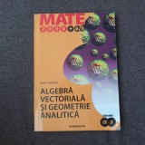 ALGEBRA VECTORIALA SI GEOMETRIE ANALITICA CLASELE IX-X PETRE NACHILA 2004