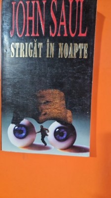 Strigat in noapte - John Saul foto