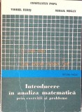 INTRODUCERE IN ANALIZA MATEMATICA PRIN EXERCITII SI PROBLEME-CONSTANTIN POPA, VIOREL HIRIS, MIHAIL MEGAN-349090