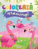 Coloreaza - Flamingi