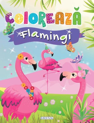 Coloreaza - Flamingi PlayLearn Toys foto