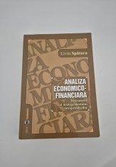 Liviu Spataru Analiza economico financiara
