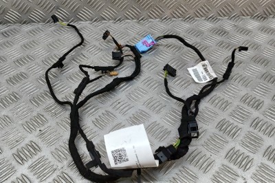 Cablaj ușă dreapta față AUDI A8 D4 4H_ 2011 OEM: 4H0971036E 27752478 foto