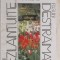 Felicien Marceau - Pasiuni dezlantuite&hellip; pasiuni destramate