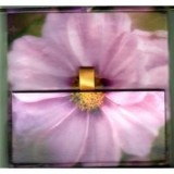 Pink Cosmos Memo Cube