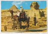 Bnk cp Egipt - Beduin pe camila la Piramide - uzata, Necirculata, Printata