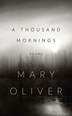 A Thousand Mornings foto