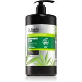 Dr. Sant&eacute; Cannabis sampon pentru regenerare cu ulei de canepa 1000 ml