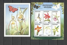 NICARAGUA 1999 FLORI ORHIDEE foto