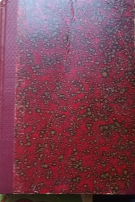 SCHITA MONOGRAFICA A SALAGIULUI Dionisie Stoica, Ioan P. Lazar