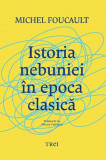 Istoria nebuniei in epoca clasica - Michel Foucault