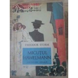 MICUTUL HAWELMANN-THEODOR STORM-229107