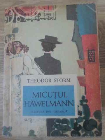 MICUTUL HAWELMANN-THEODOR STORM-229107