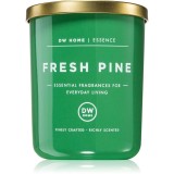 DW Home Essence Fresh Pine lum&acirc;nare parfumată 108 g