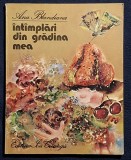 Intamplari din gradina mea - Ana Blandiana