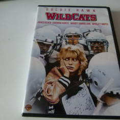 Wild cats cod 1, b79