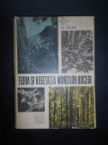 Alexandru Beldie - Flora si vegetatia muntilor Bucegi (1967, editie cartonata)